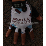 2013 Team AG2R LA MONDIALE Cycling Gloves Mitts