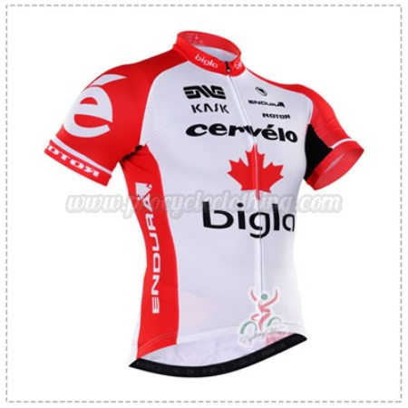2011 giant defy 1
